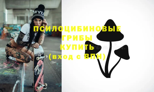 эйфоретик Абаза